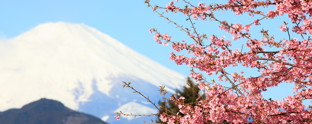 Mount Fuji